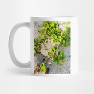 Beach Grass, Oman Mug